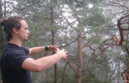 Taikiken Ritsuzen, Toine early morning training on the mountain top.jpeg