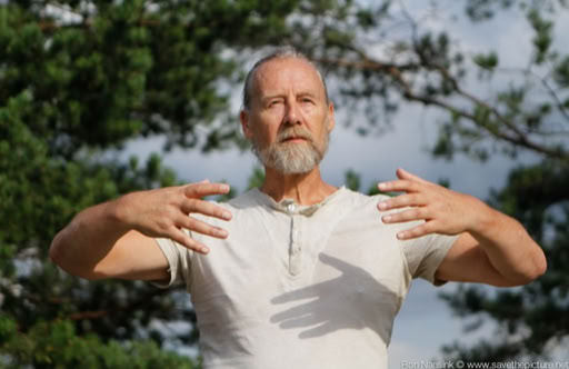 Ron Nansink Ritsuzen on the pirate nest