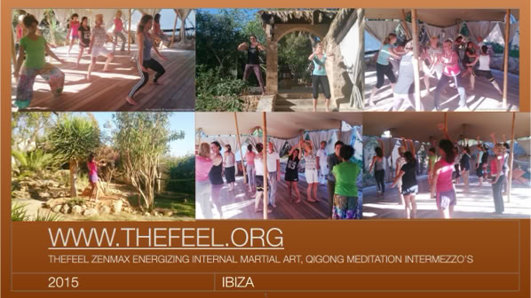 Book a ZenmaX energizing martial art - qigong intermezzo, or group balancing